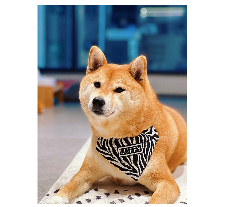 9ad1dbae0d5b38eb579280cf99b7ac6e